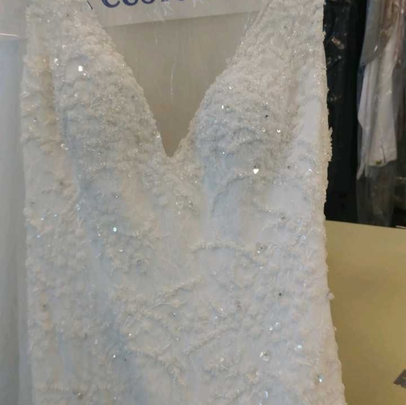 Tony Ward Nina Wedding Dress - Picture 12 of 16